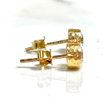 Blush Blossom Earrings - 14 carat gold EARV2