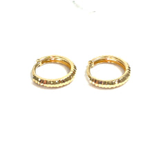 Eternal Sparkle Earrings - 14 carat gold