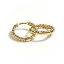 Shining Earrings - 14 carat gold