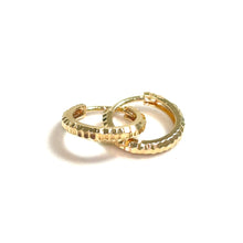 Shining Earrings - 14 carat gold