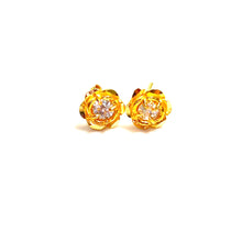 Sparkling Earrings - 22 carat gold