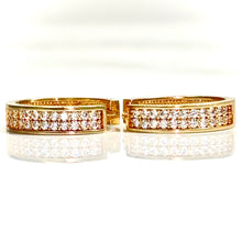 Sparkling Elegance Earrrings - 14 carat gold EARV2