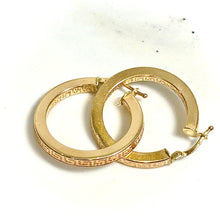 Golden Elegance Hoops Earring - 14 carat gold EARV2