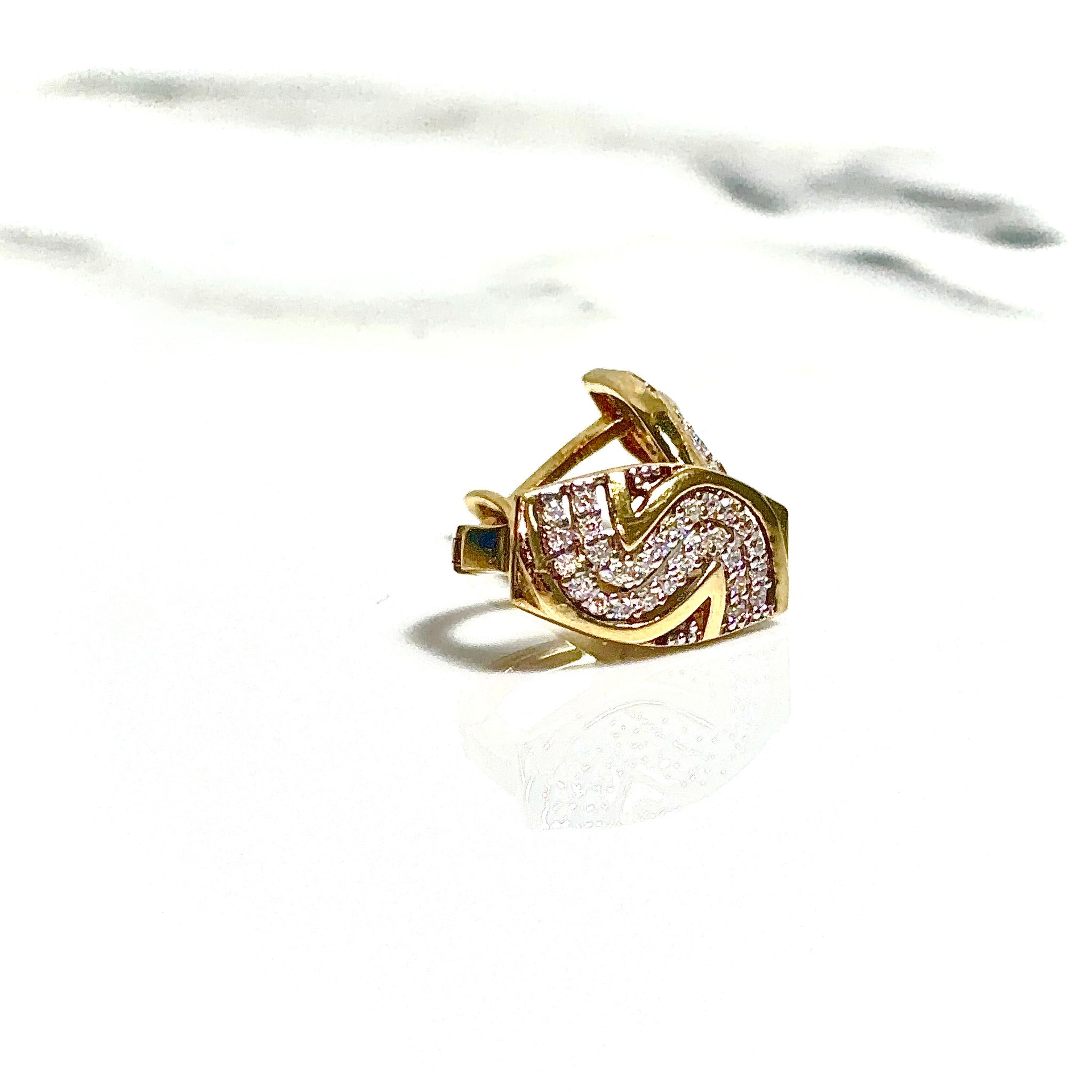 Golden Radiance Earring - 14 carat gold EARV2