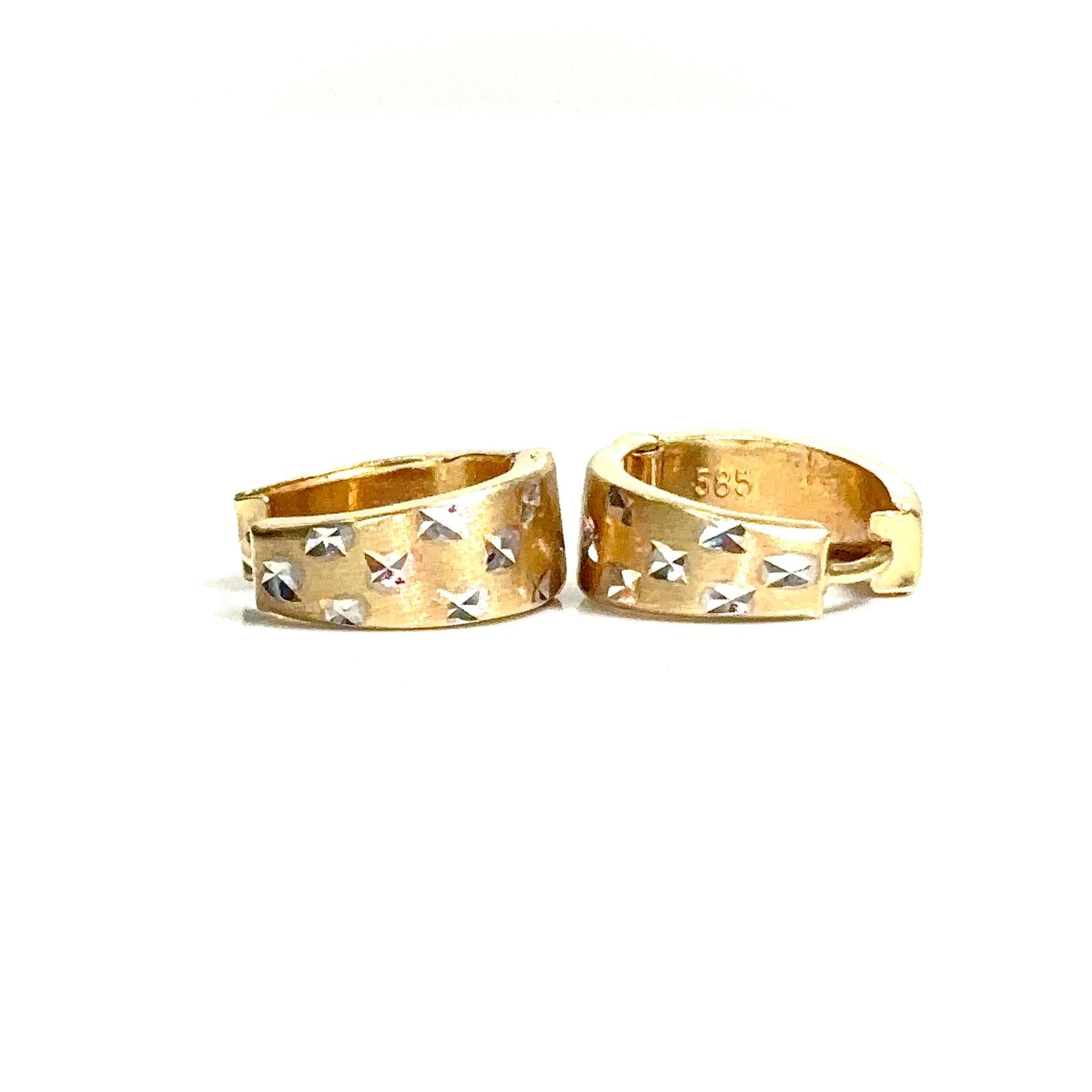 Radiant Elegance Earrings - 14 carat gold - EARV2